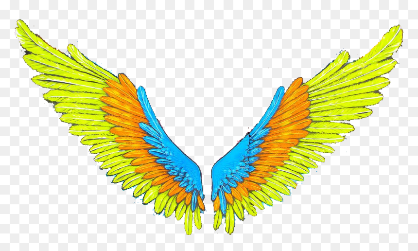 Wings Asas Tumblr By, HD Png Download - asas png