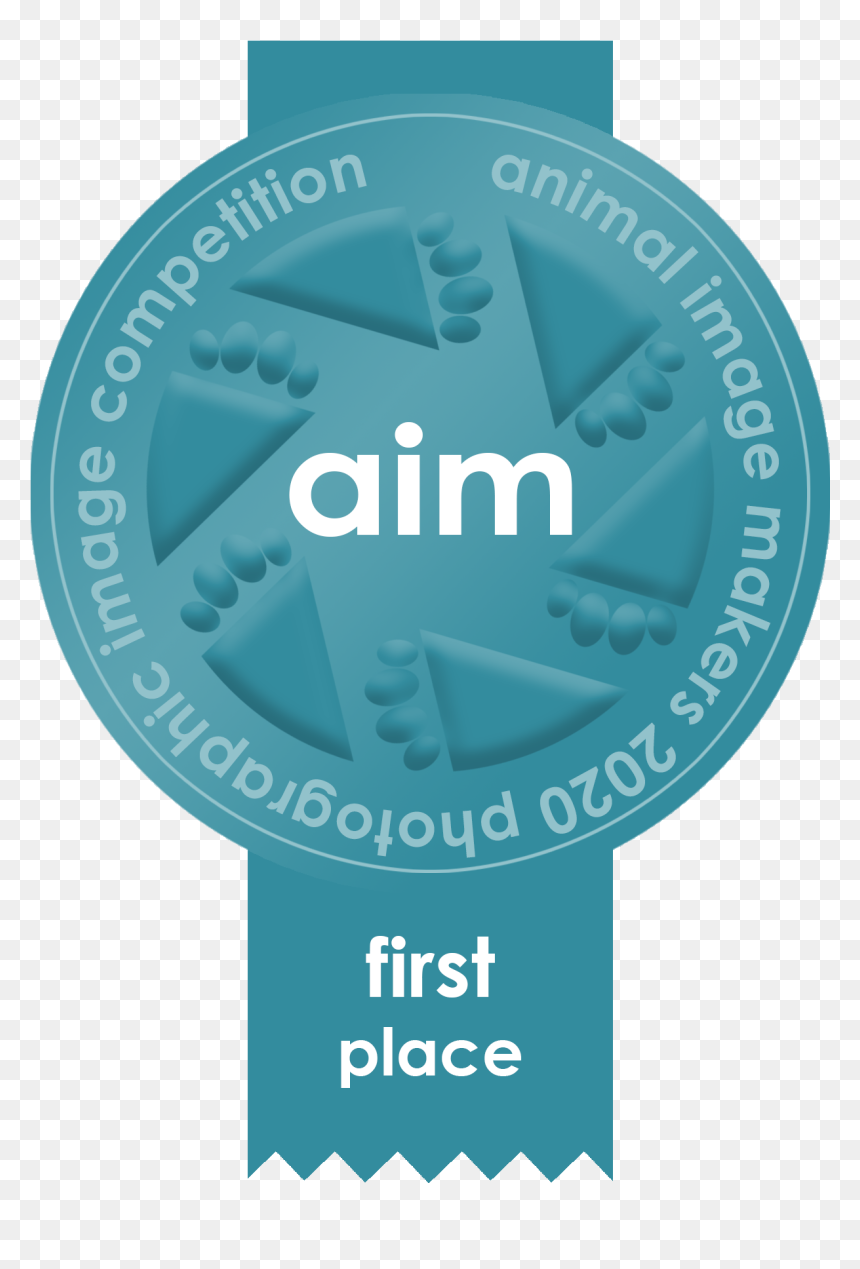Starlite Aviation, HD Png Download - first place ribbon png