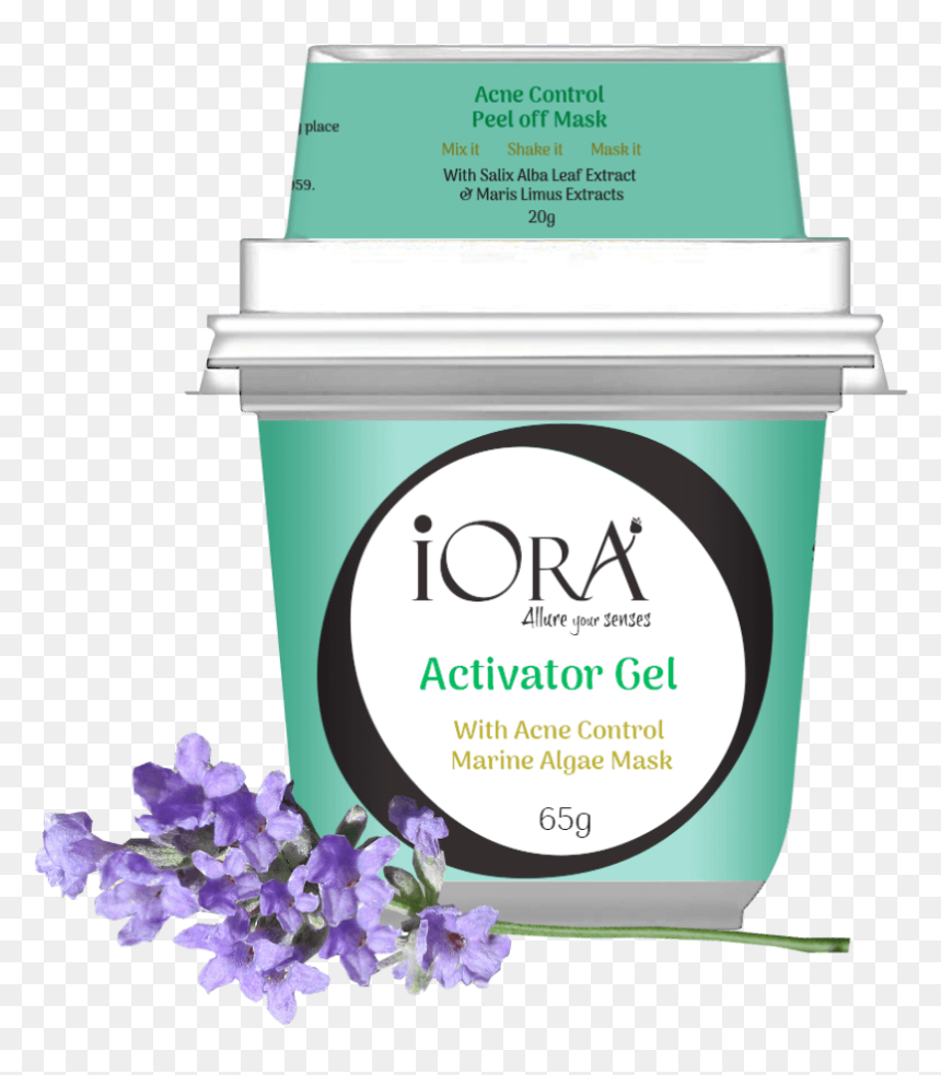 English Lavender, HD Png Download - tea tree png