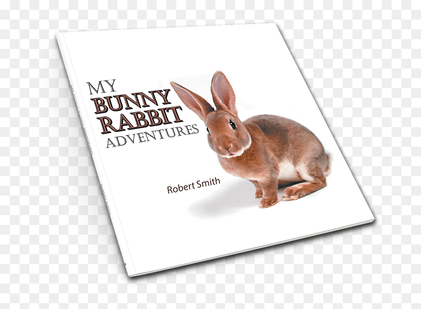 Domestic Rabbit, HD Png Download - bunny rabbit png