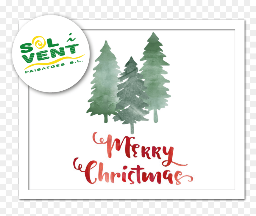 Colorado Spruce, HD Png Download - felices fiestas png