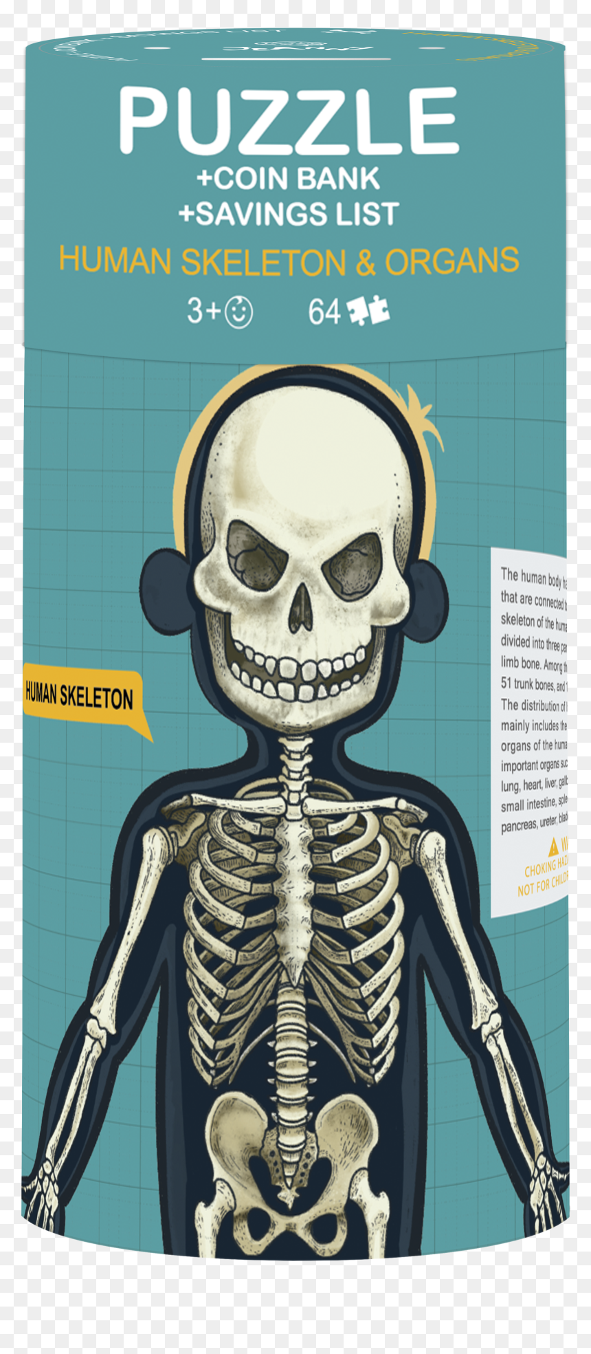 Human Skeleton Png, Transparent Png - human skeleton png