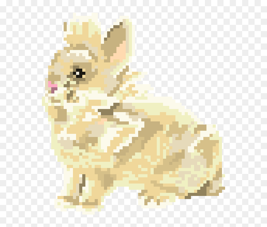 Pembroke Welsh Corgi, HD Png Download - bunny rabbit png