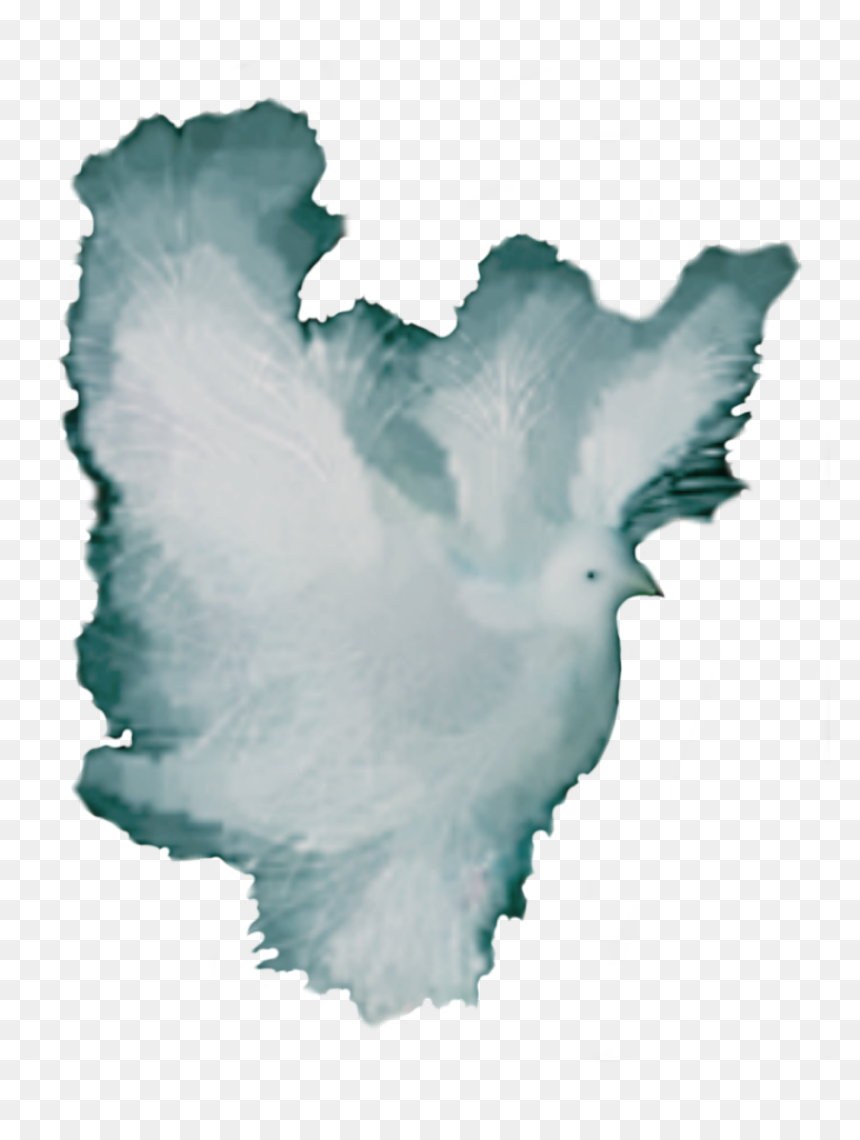 Dove Fantasy White Night Flight Clip Arts - Illustration, HD Png Download - dove flying png