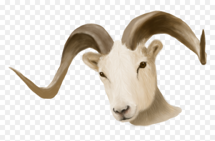 Painted Ram Head - Ram Head Transparent Background, HD Png Download - ram head png