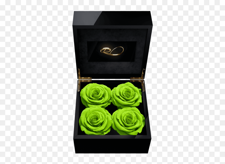 Flower Box With Video, HD Png Download - flower box png