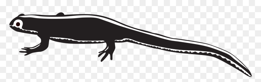 Clip Art, HD Png Download - ashley greene png
