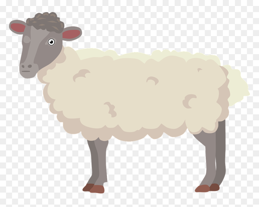 Sheep Fur Cartoon, HD Png Download - ram head png