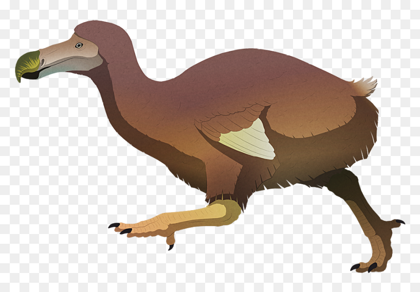 Island Weirdness - Alphynix Dodo, HD Png Download - dodo bird png