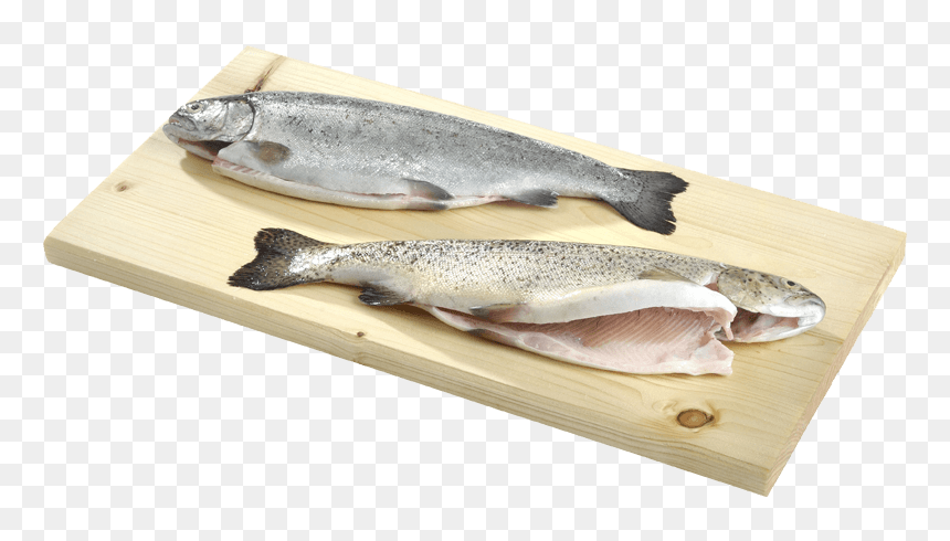Eciens Seafood Trout Gutted - Touladi, HD Png Download - rainbow trout png
