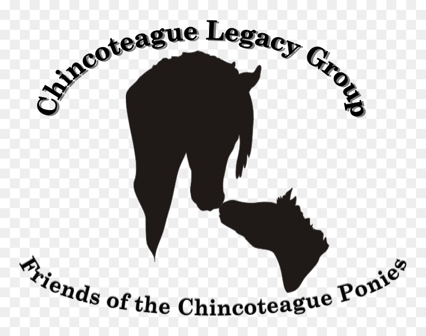 Logo - Illustration, HD Png Download - my little pony group png