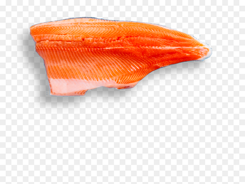 Fish Slice, HD Png Download - rainbow trout png