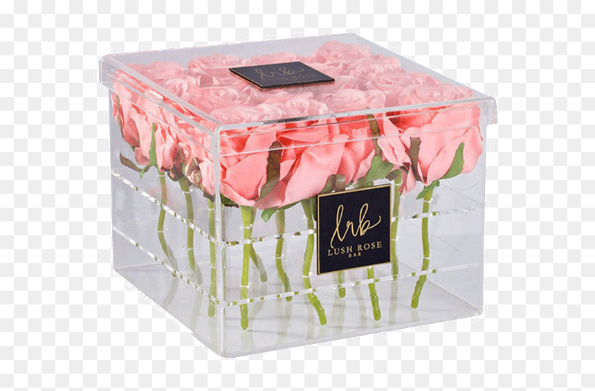 Am Fb 06a, HD Png Download - flower box png