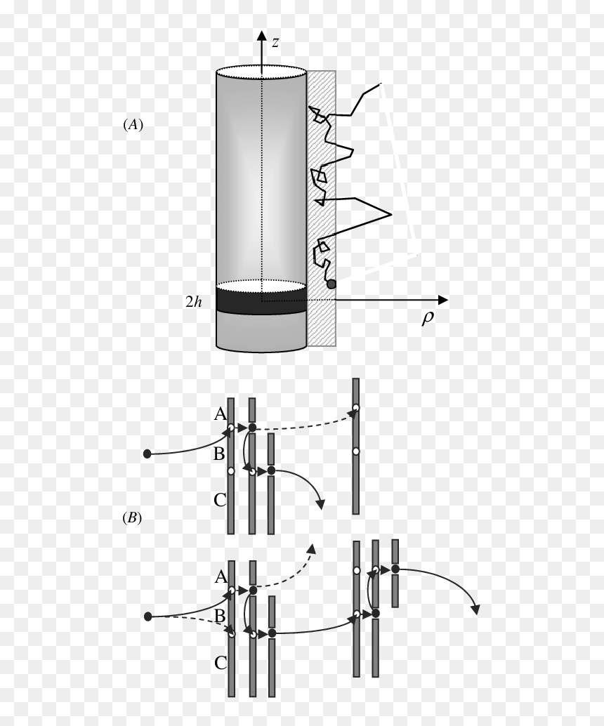 Diagram, HD Png Download - black strip png