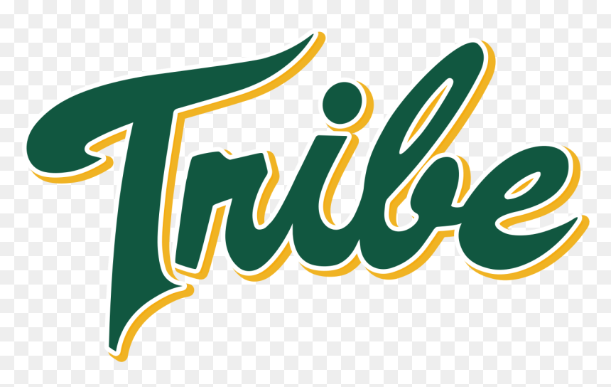 William And Mary Athletic Logo, HD Png Download - mary png