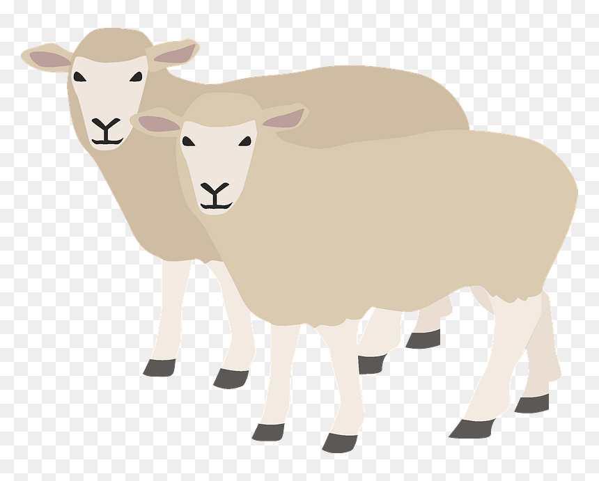 Sheep Clipart - Bighorn, HD Png Download - sheep clipart png
