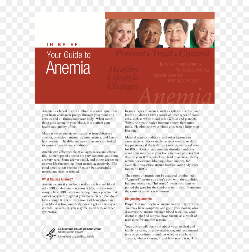 Brochure, HD Png Download - red blood cells png