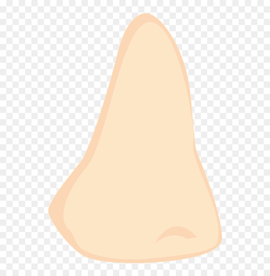 Nose Body Clipart - Lampshade, HD Png Download - nose clipart png