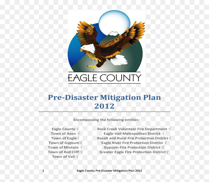 Shaffer Cwpp Finalreport-1 - Eagle County, HD Png Download - eagle .png
