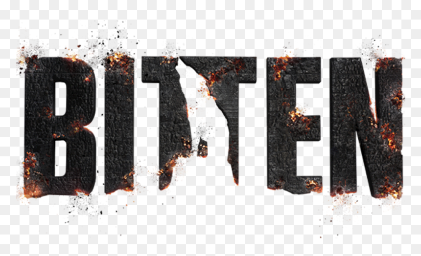Wood Bullet Hole Png, Transparent Png - wood bullet hole png