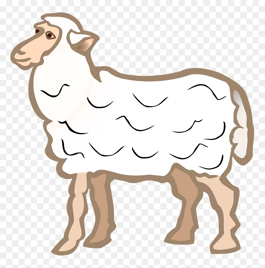 Sheep Clipart - Sheep Coloured, HD Png Download - sheep clipart png