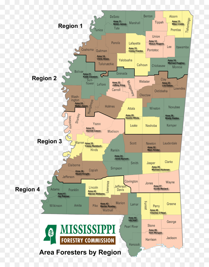 Physical Map Of Mississippi, HD Png Download - ashley greene png
