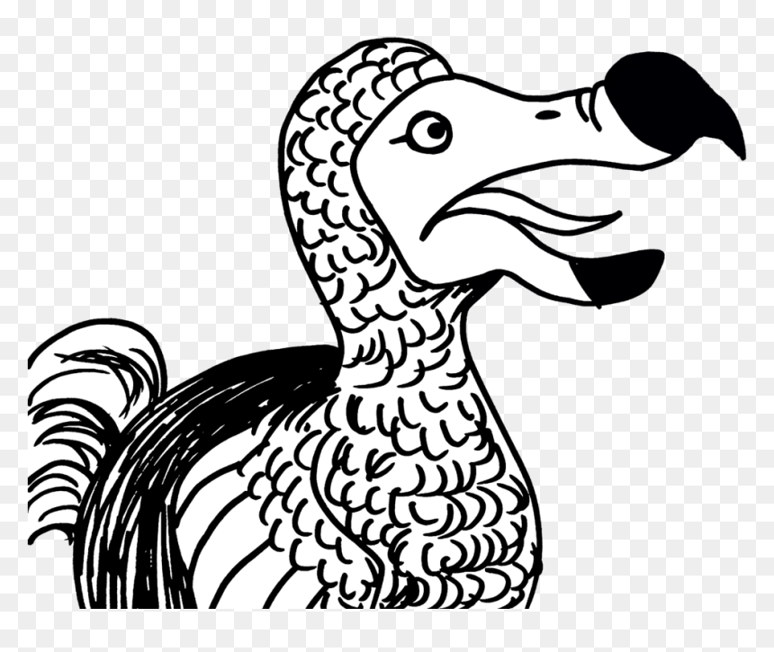 Dodo - Duck, HD Png Download - dodo bird png