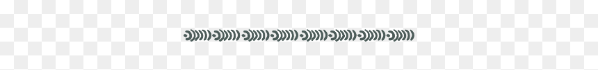 #linie #linien #schmucklinien #divider #trennlinie - Shirt, HD Png Download - white decorative lines png