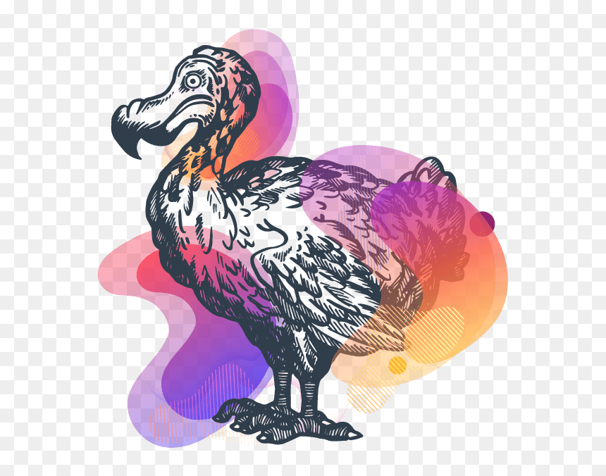 Vector Graphics, HD Png Download - dodo bird png
