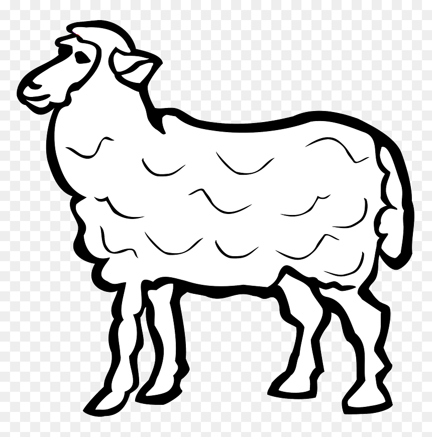 Sheep Clipart - Arabic Name Of Sheep, HD Png Download - sheep clipart png