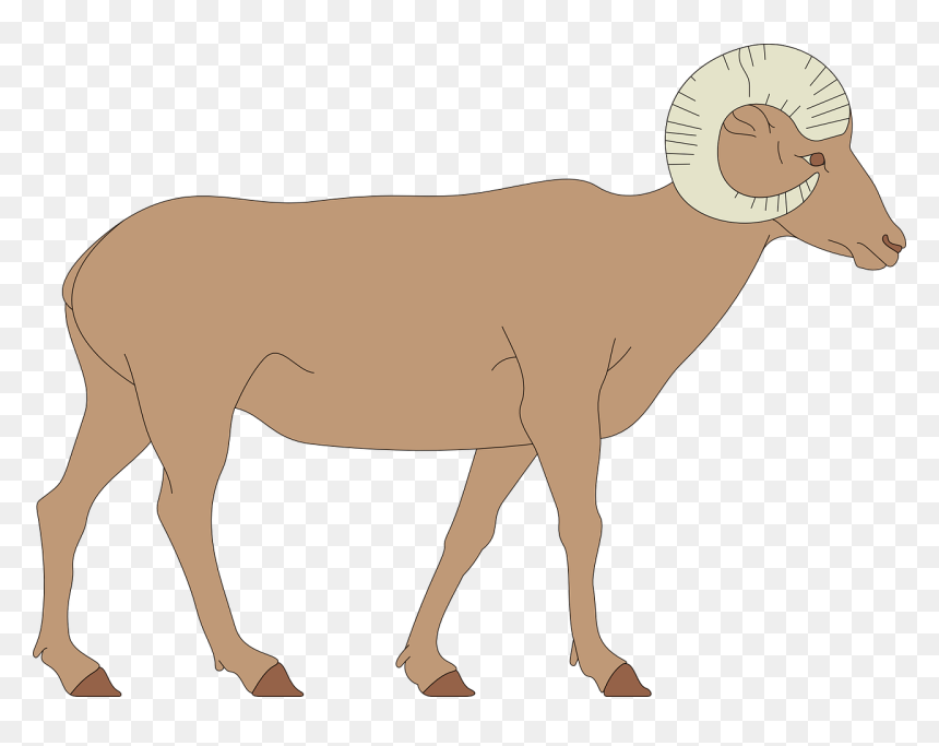 Big Horn Sheep Clipart, HD Png Download - sheep clipart png