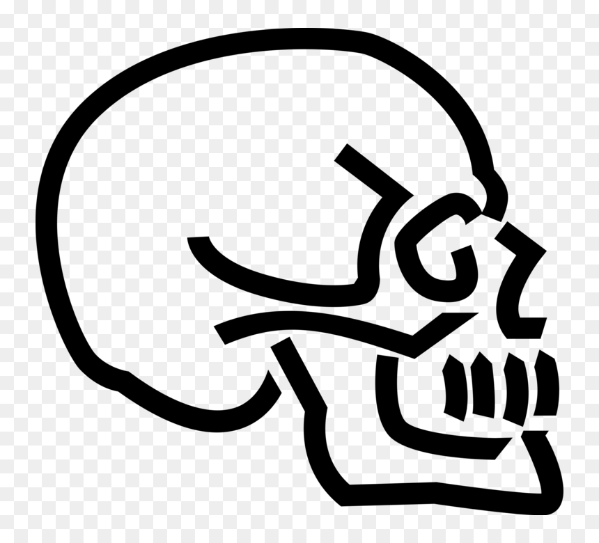 Vector Illustration Of Human Skull Skeleton - Baby Crib Clip Art, HD Png Download - baby crib png