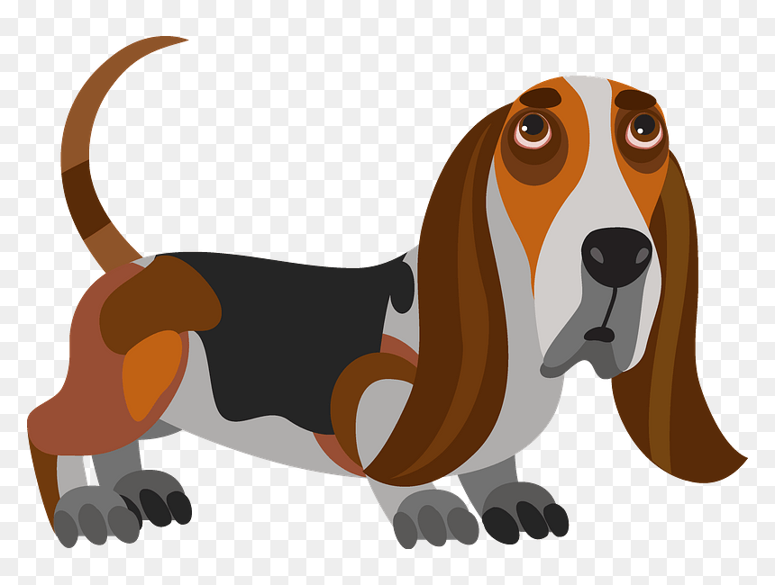 Basset Hound Dog Clipart, HD Png Download - basset hound png