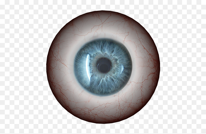Circle, HD Png Download - pupil png
