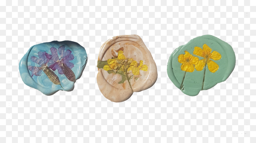 Art, Stamp, And Flowers Image - Stamp Transparent, HD Png Download - plant png tumblr