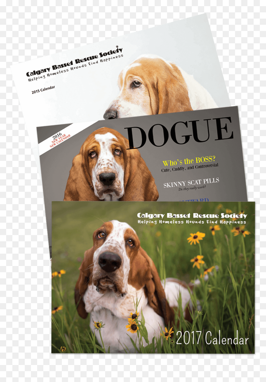 But Since I Can"t, I Have Found A Way To Use My Skills - Basset Hound, HD Png Download - basset hound png
