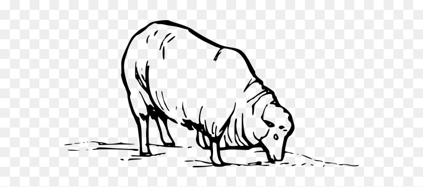 Earting Sheep Png Icons - Sheep Clip Art, Transparent Png - sheep clipart png