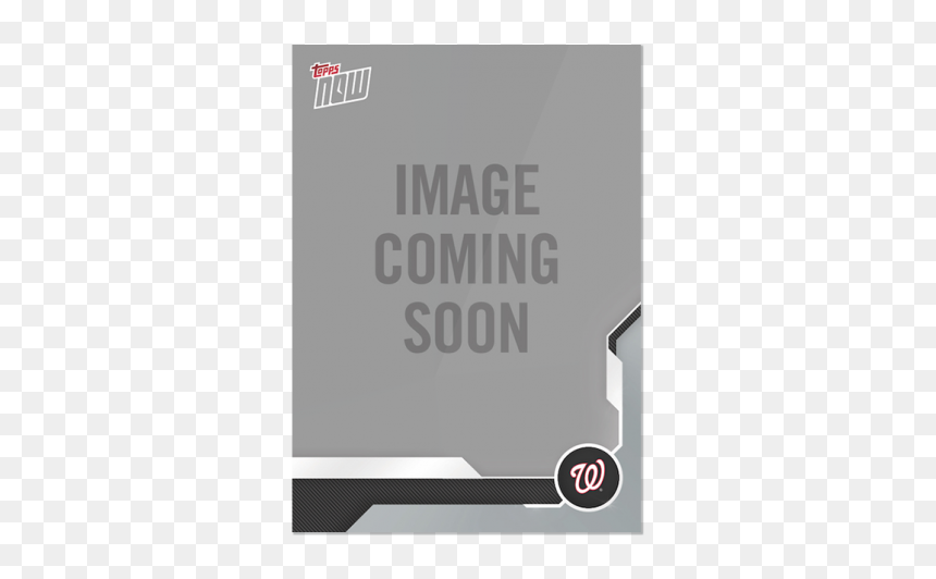 Washington Nationals, HD Png Download - washington nationals png