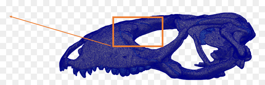 Chesapeake Blue Crab, HD Png Download - bite marks png