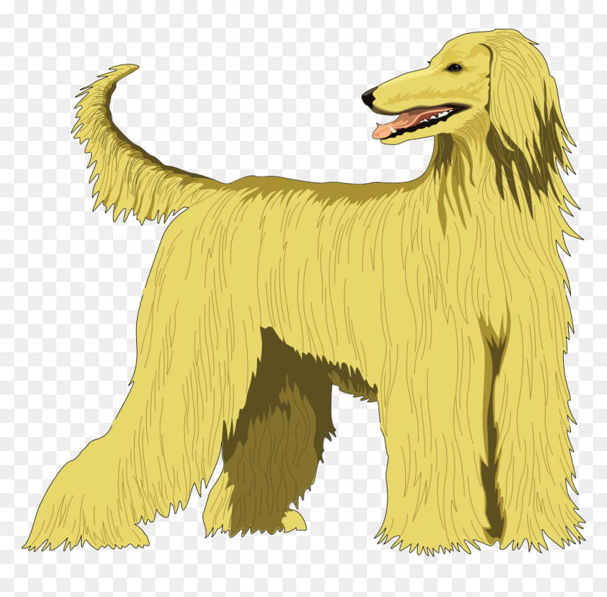 Transparent Basset Hound Clipart - Afghan Hound Clip Art, HD Png Download - basset hound png