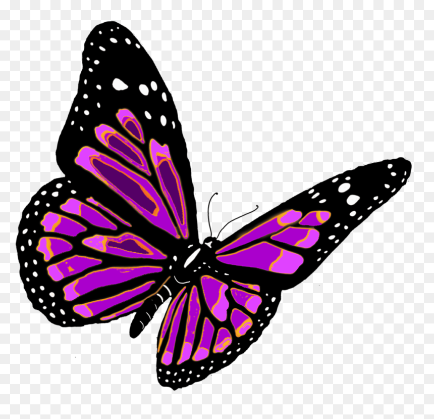Now You Can Download Butterfly Transparent Png File - Butterfly Png, Png Download - butterfly transparent png