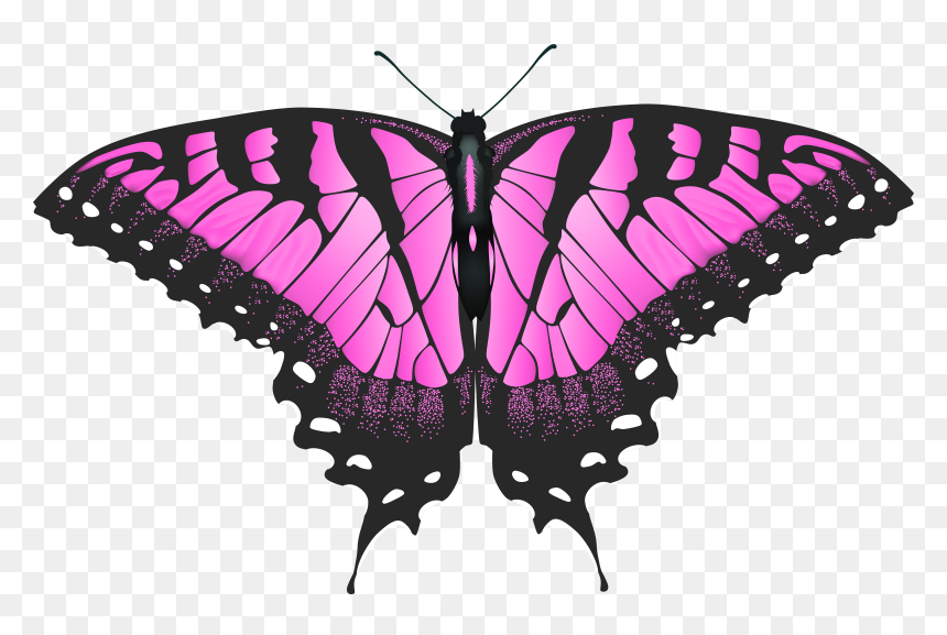 Transparent Handle Png - Butterfly Wings Yellow Tiger Swallowtail, Png Download - butterfly transparent png