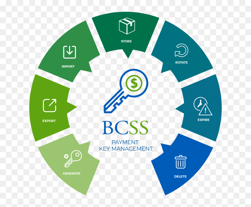 Bcss Lifecyce Chart - Southwest Airlines Employee Perks, HD Png Download - secure payment png