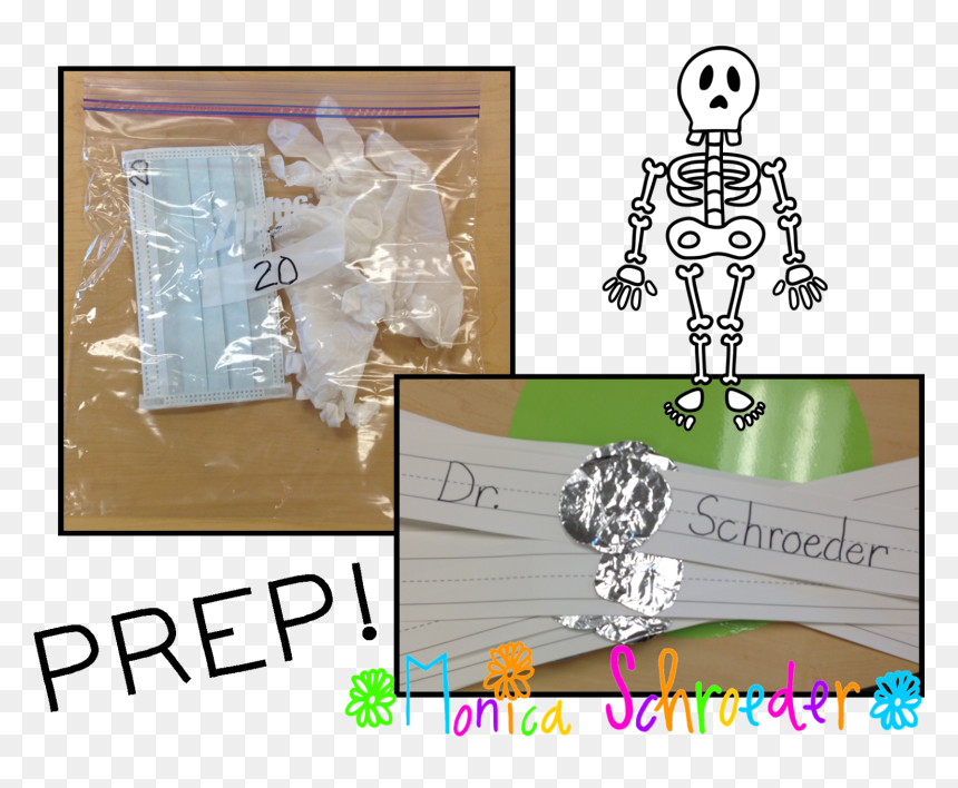 The Schroeder Page - Illustration, HD Png Download - skeletal system png