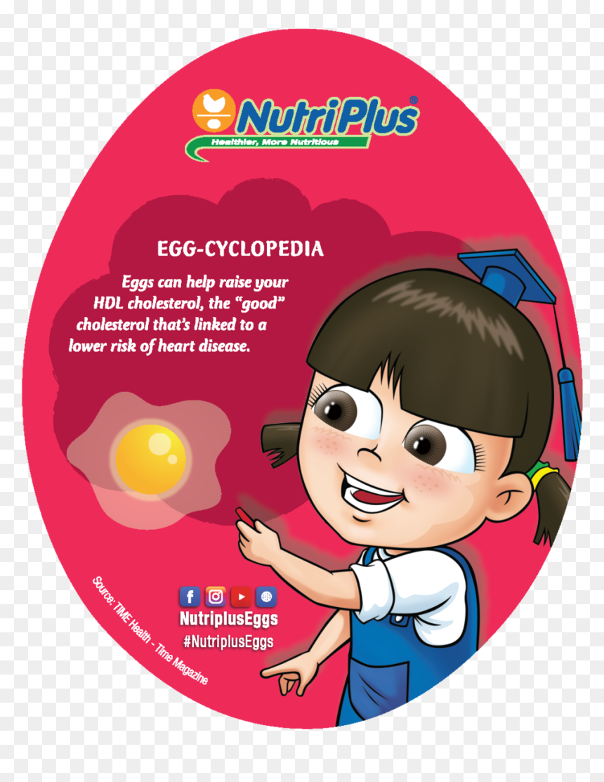 Coaster V4 Website Back2-07 - Portable Network Graphics, HD Png Download - fried eggs png