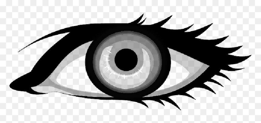 Eyes, Eye, Part, Blue, Body, Pupil, Lids, Lid - Blue Eyes Vector Png, Transparent Png - pupil png