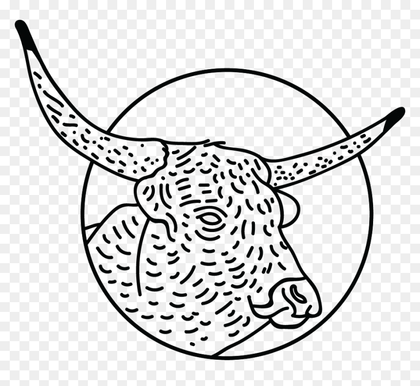 Transparent Animal Print Png - Bull, Png Download - animal print png