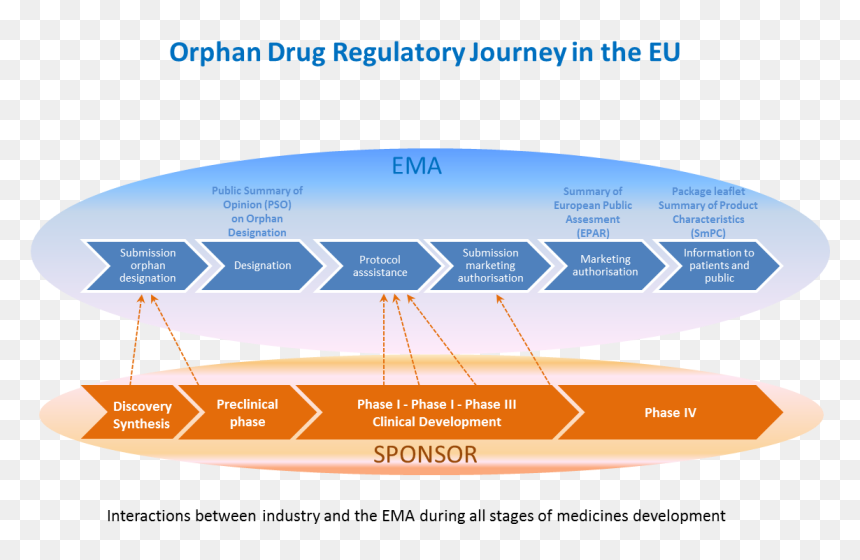Supply Chain Of A Service Company, HD Png Download - eu stars png
