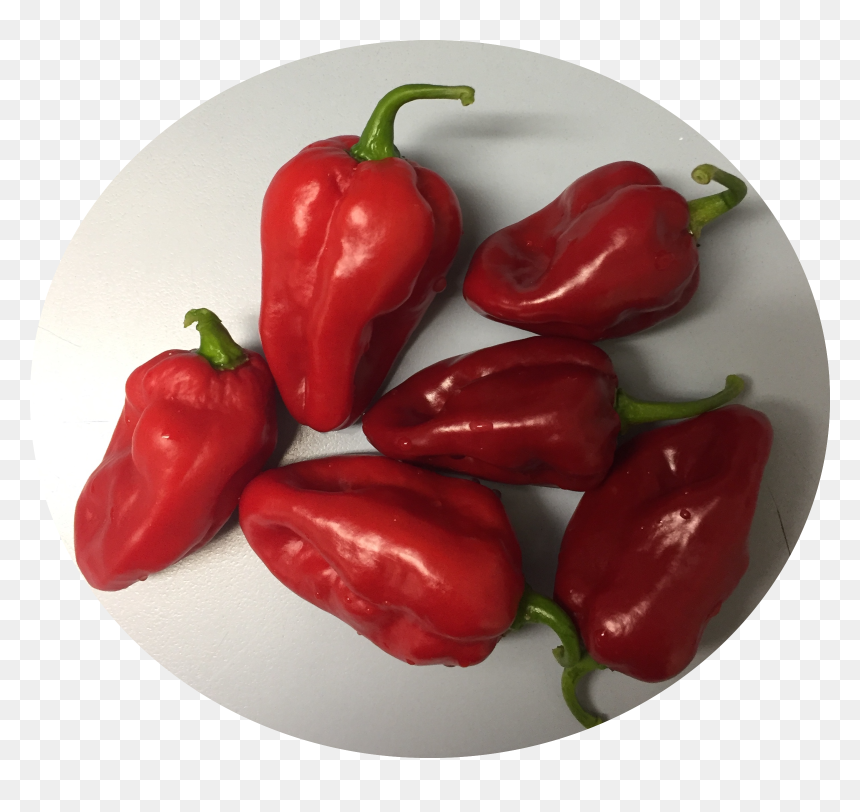 Tabasco Pepper, HD Png Download - habanero png