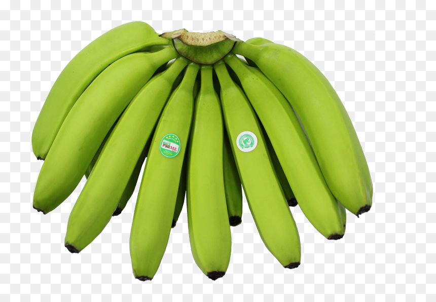 Saba Banana , Png Download - Matoke Png, Transparent Png - banana png transparent
